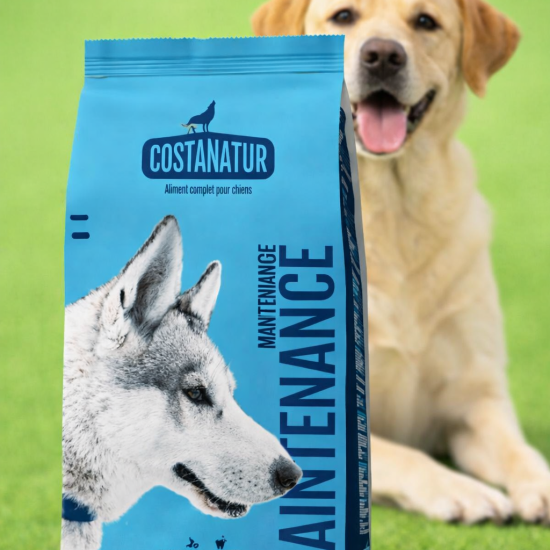 Croquette COSTANATUR et labrador heureux