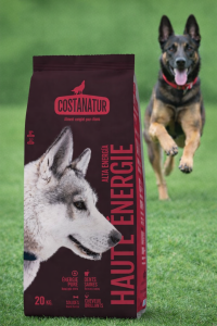 Croquettes Haute Énergie - Chien sportif