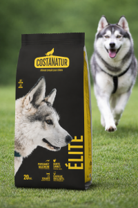Croquettes Elite (Nutrition premium)