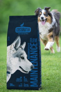 Croquettes pour chien actif – Maintenance élevée